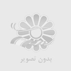 آشنايي با انواع درب ضد سرقت ترموود فنلاندي
